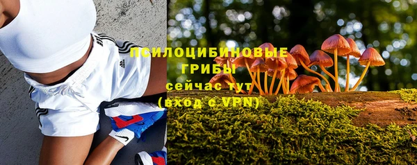 спиды Верхний Тагил
