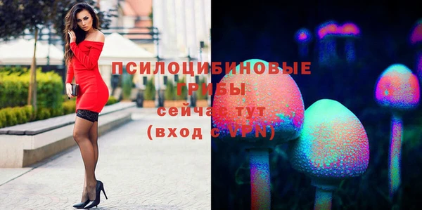 соль ск Верхнеуральск