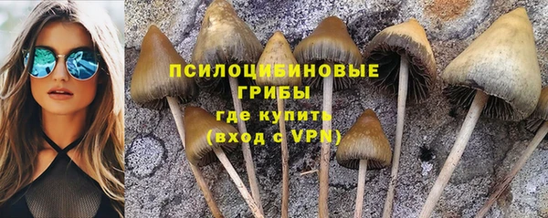 спиды Верхний Тагил