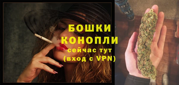 дурь Верея